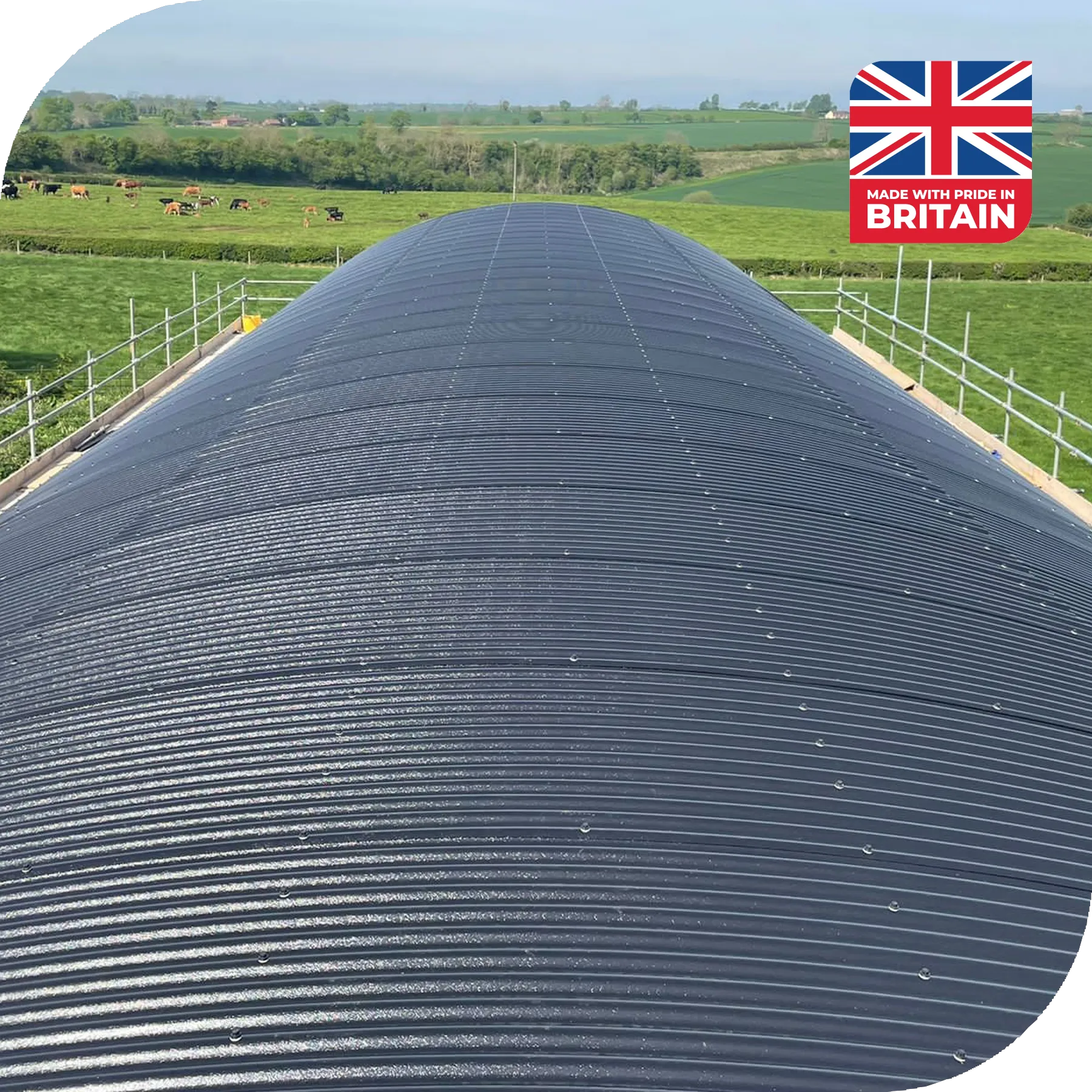 Curved Roof